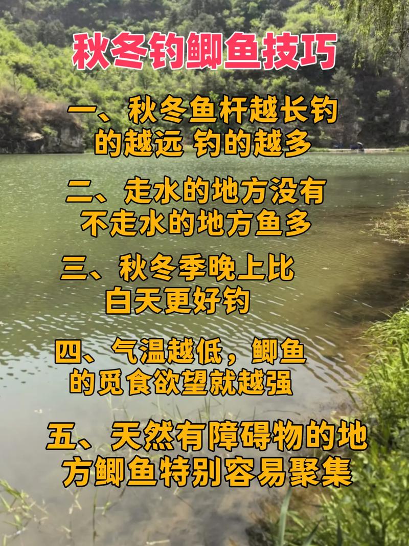 立冬水库钓鱼，这些技巧能让你爆护吗？-图3