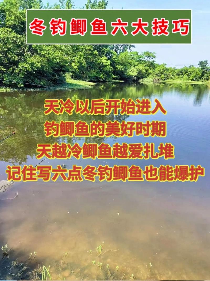 立冬水库钓鱼，这些技巧能让你爆护吗？-图2