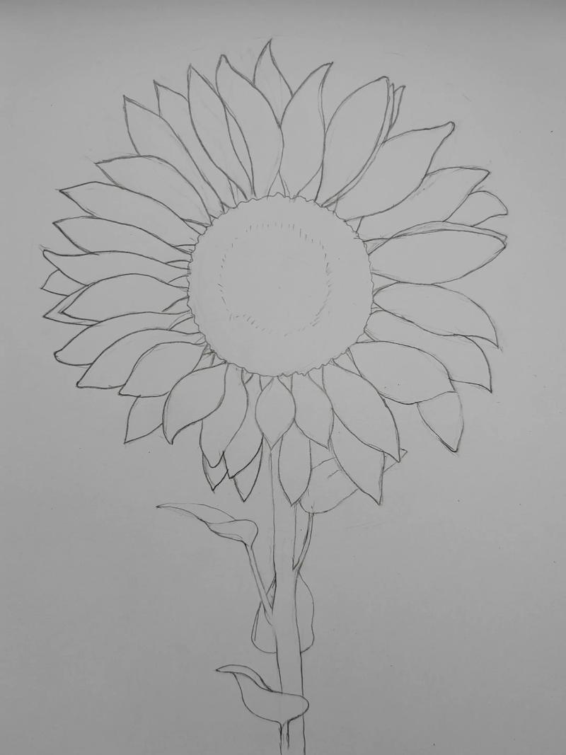 创意彩铅画-图1 创意彩铅画-图1