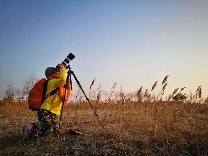 冬天1000技巧视频，实用干货还是凑数合集？-图3