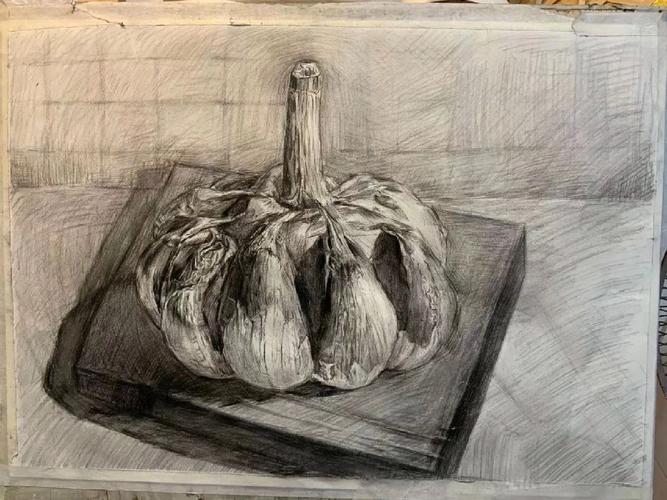 蔬菜创意素描-图3