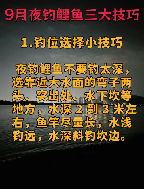 底钓鲤鱼,关键技巧有哪些?-图3 底钓鲤鱼,关键技巧有哪些?-图3