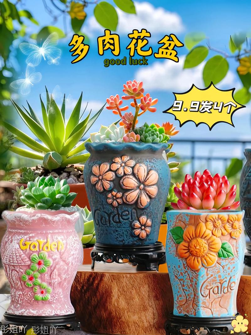 多肉创意花盆图片-图1