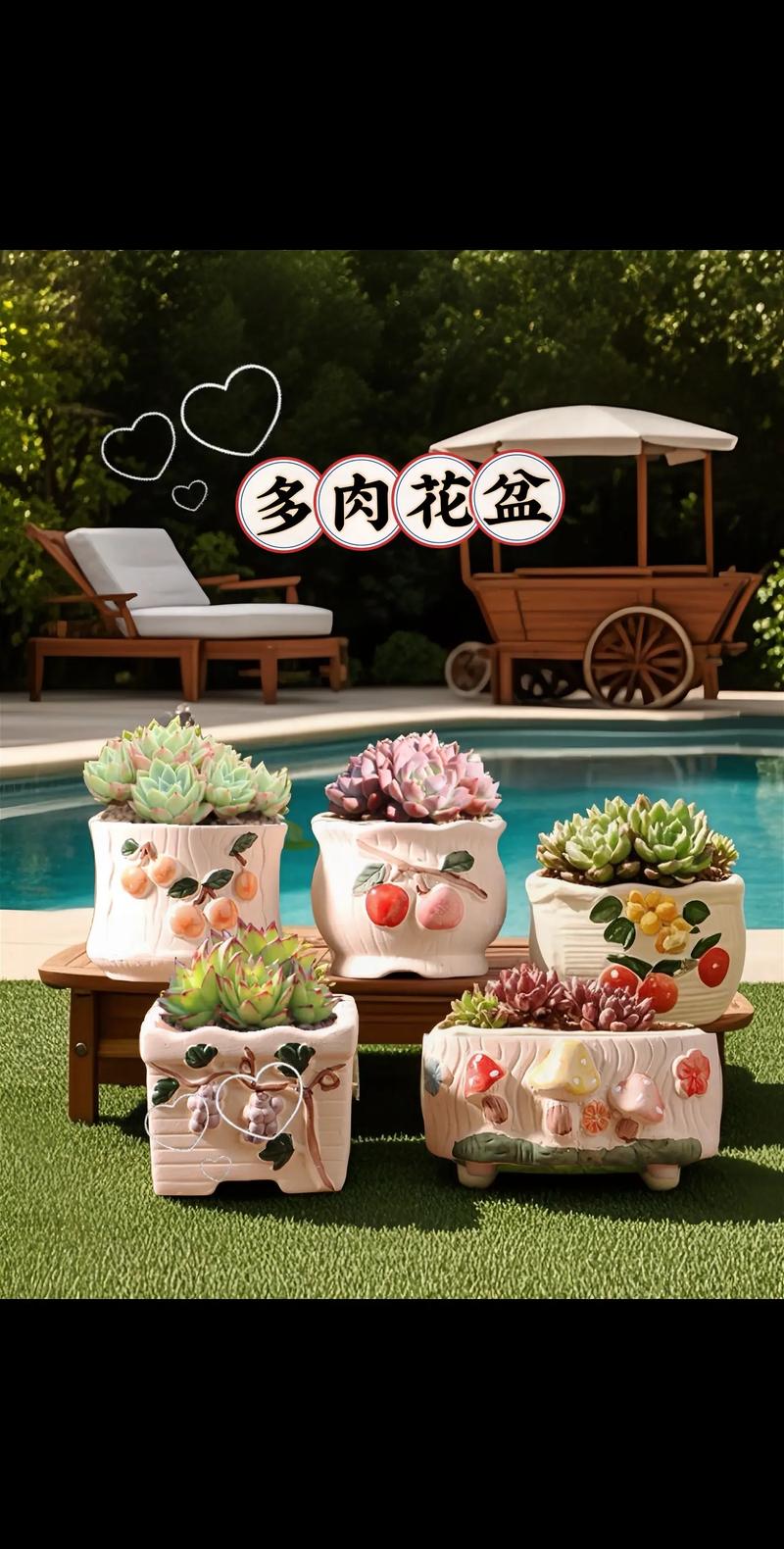 多肉创意花盆图片-图3