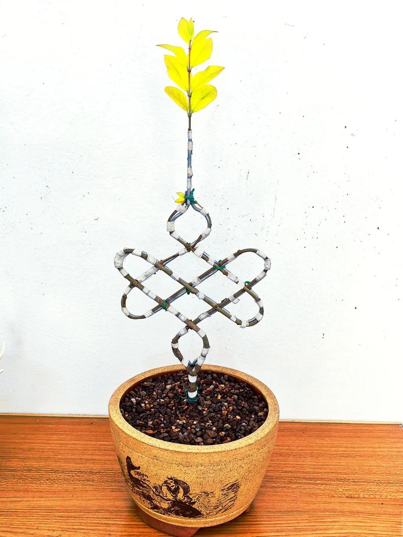 创意手工盆栽-图3