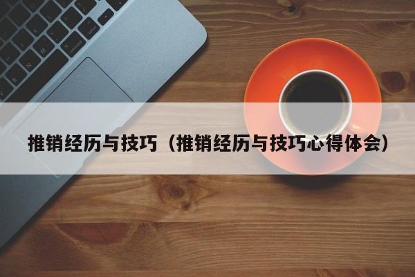 推销经历与技巧（推销经历与技巧心得体会）-图1